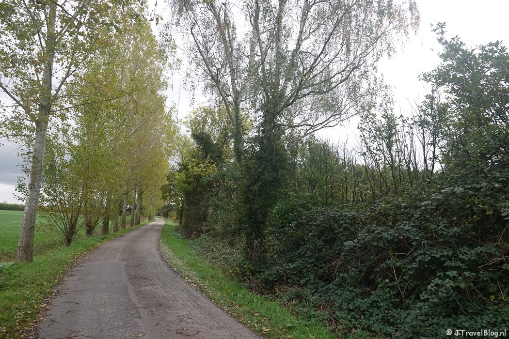 De Weidijk tijdens etappe 13 van het Pad van de Vrijheid van Rhenen naar Wageningen