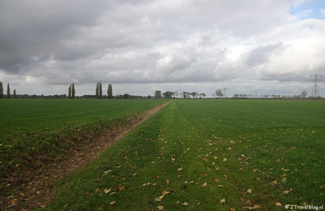 Het weiland tijdens etappe 13 van het Pad van de Vrijheid van Rhenen naar Wageningen