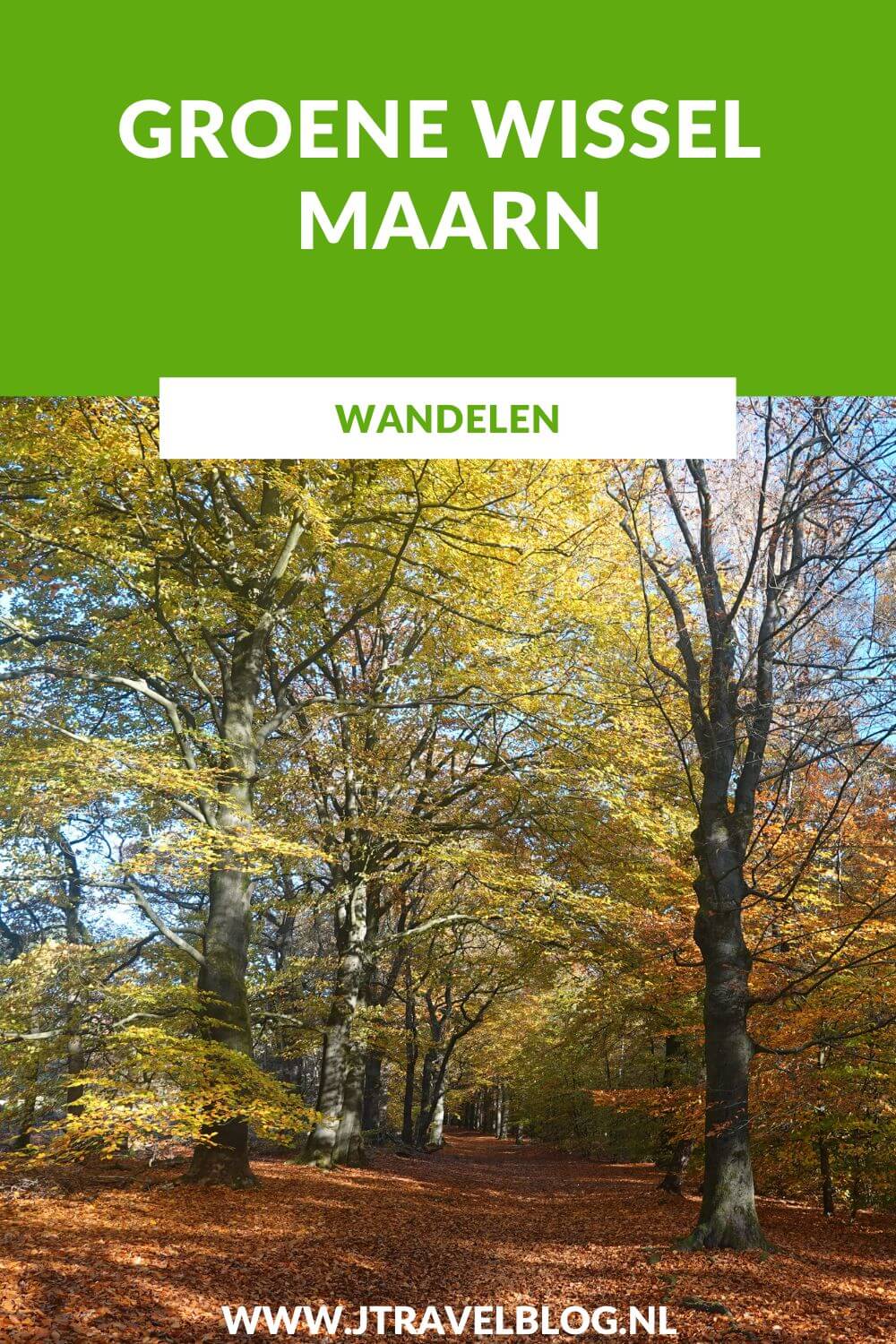 ik liep de Groene Wissel Maarn vanaf Station Maarn door schitterende bossen in herfsttooi, langs Huis te Maarn, door de Kaapse Bossen, langs Uitkijktoren de Kaap en via de bossen terug naar Station Maarn. #groenewissel #maarn #wandelen #jtravelblog #jtravel