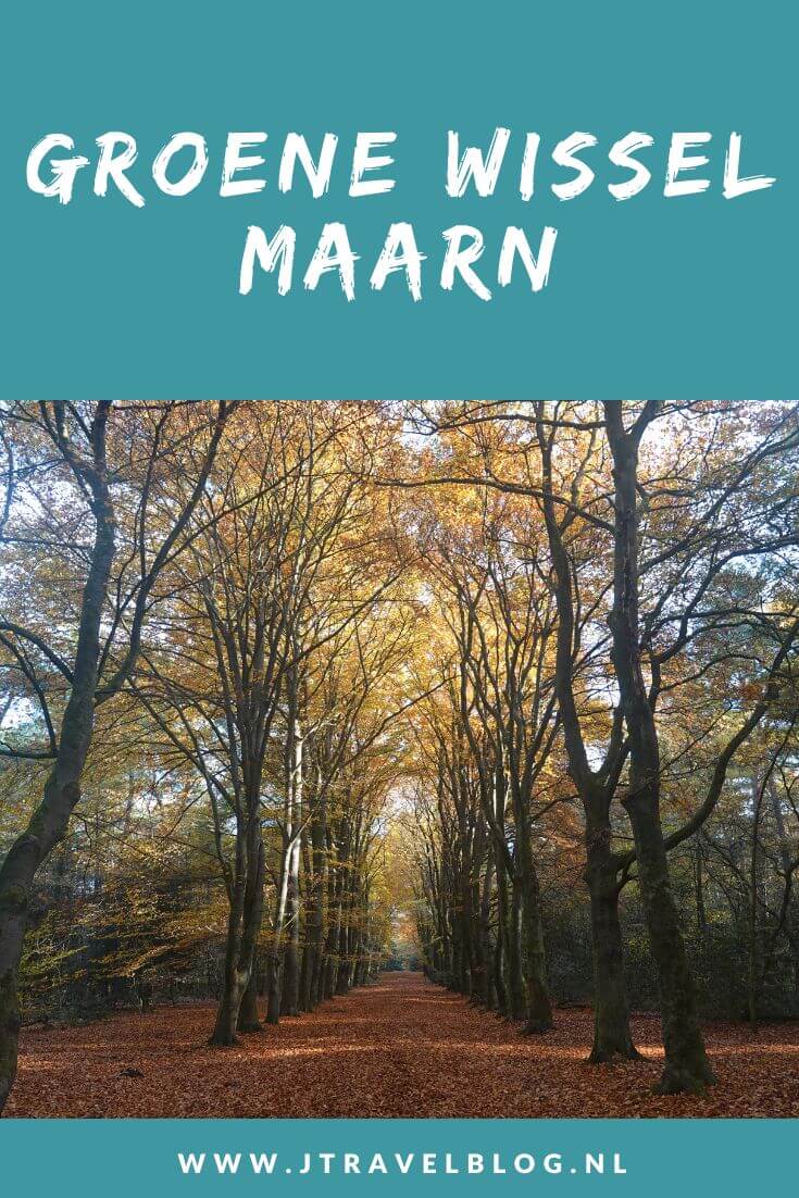ik liep de Groene Wissel Maarn vanaf Station Maarn door schitterende bossen in herfsttooi, langs Huis te Maarn, door de Kaapse Bossen, langs Uitkijktoren de Kaap en via de bossen terug naar Station Maarn. #groenewissel #maarn #wandelen #jtravelblog #jtravel