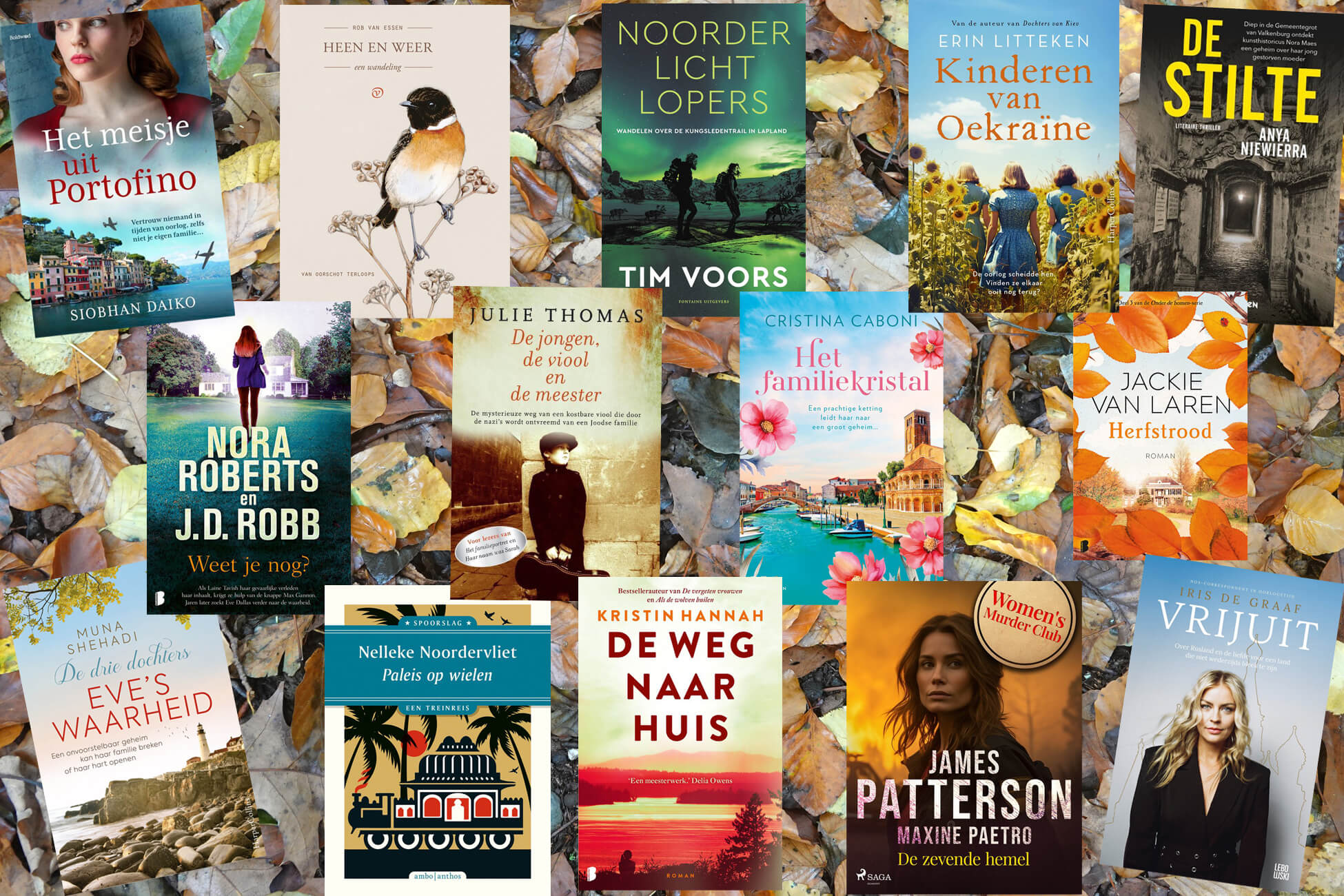 De door mij gelezen boeken in 2025