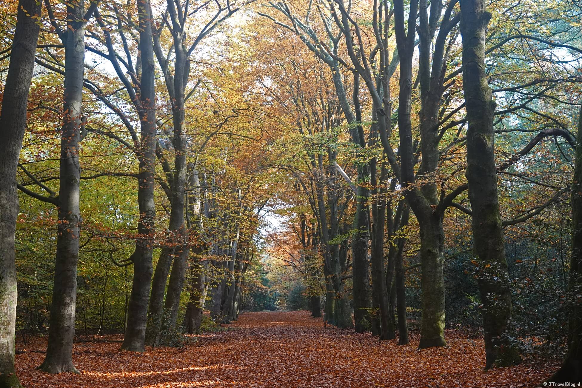 Mijn jaaroverzicht 2025