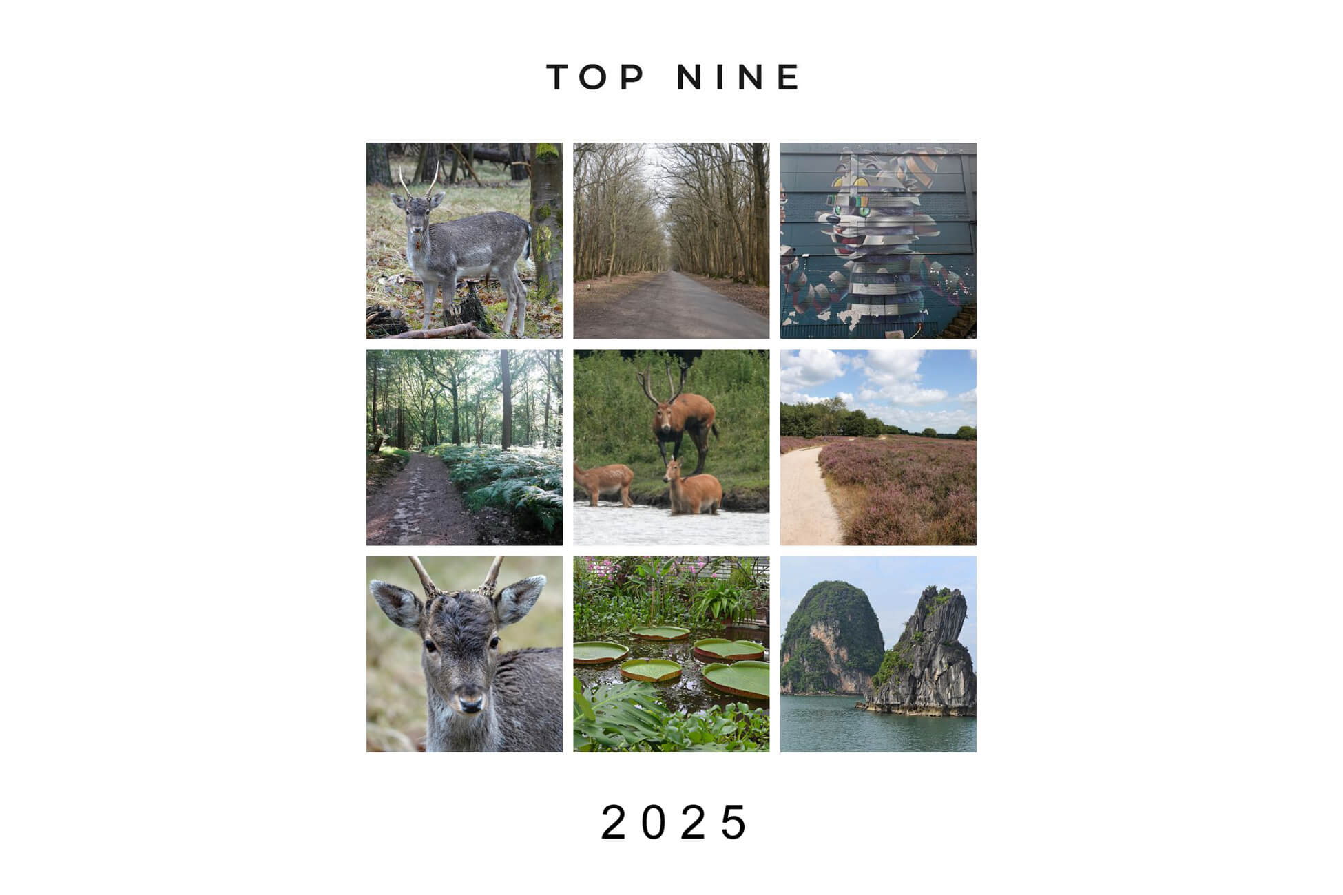 De best nine van JTravel op Instagram in 2025