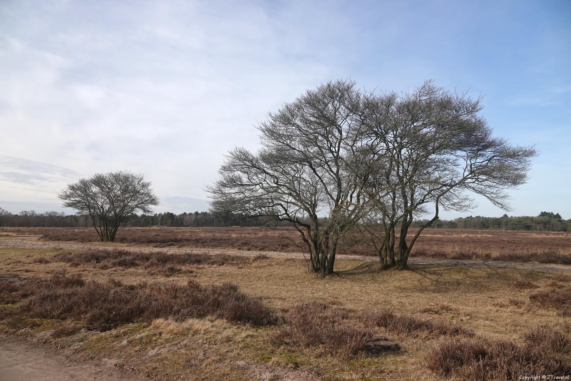 Mijn wandeling van Baarn naar Hilversum