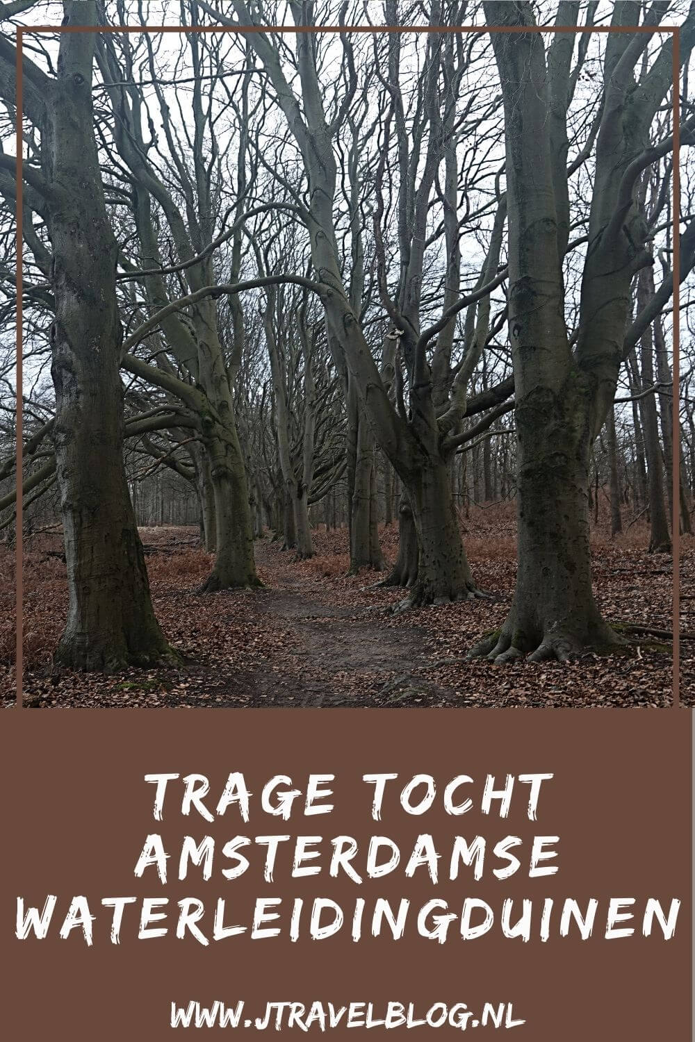 Ik liep deย Trage Tocht Amsterdamse Waterleidingduinen. Vanaf ingang Zandvoortselaan loop ik via Oranjekom/Oase en Panneland via het Eiland van Rolvers weer naar de Zandvoortselaan. Onderweg beklim ik de Rozenberg en de Appelenberg en zie ik bunkers en damherten. In deze blog neem ik je mee naar de Amsterdamse Waterleidingduinen.ย #amsterdamsewaterleidingduinen #wandelen #jtravelblog #jtravel