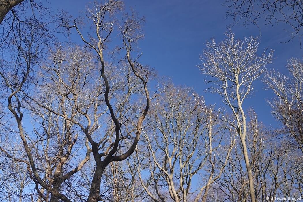 Buitenplaats De Hartekamp tijdens de Hartekamproute in Heemstede