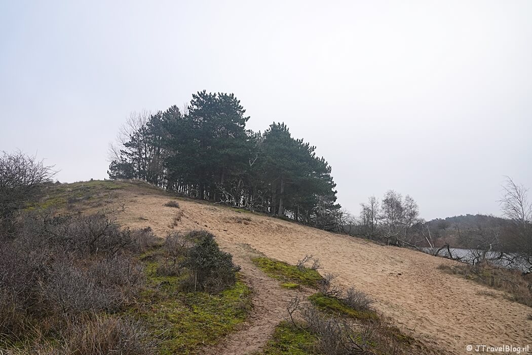Eiland van Rolvers tijdens de Trage Tocht Amsterdamse Waterleidingduinen