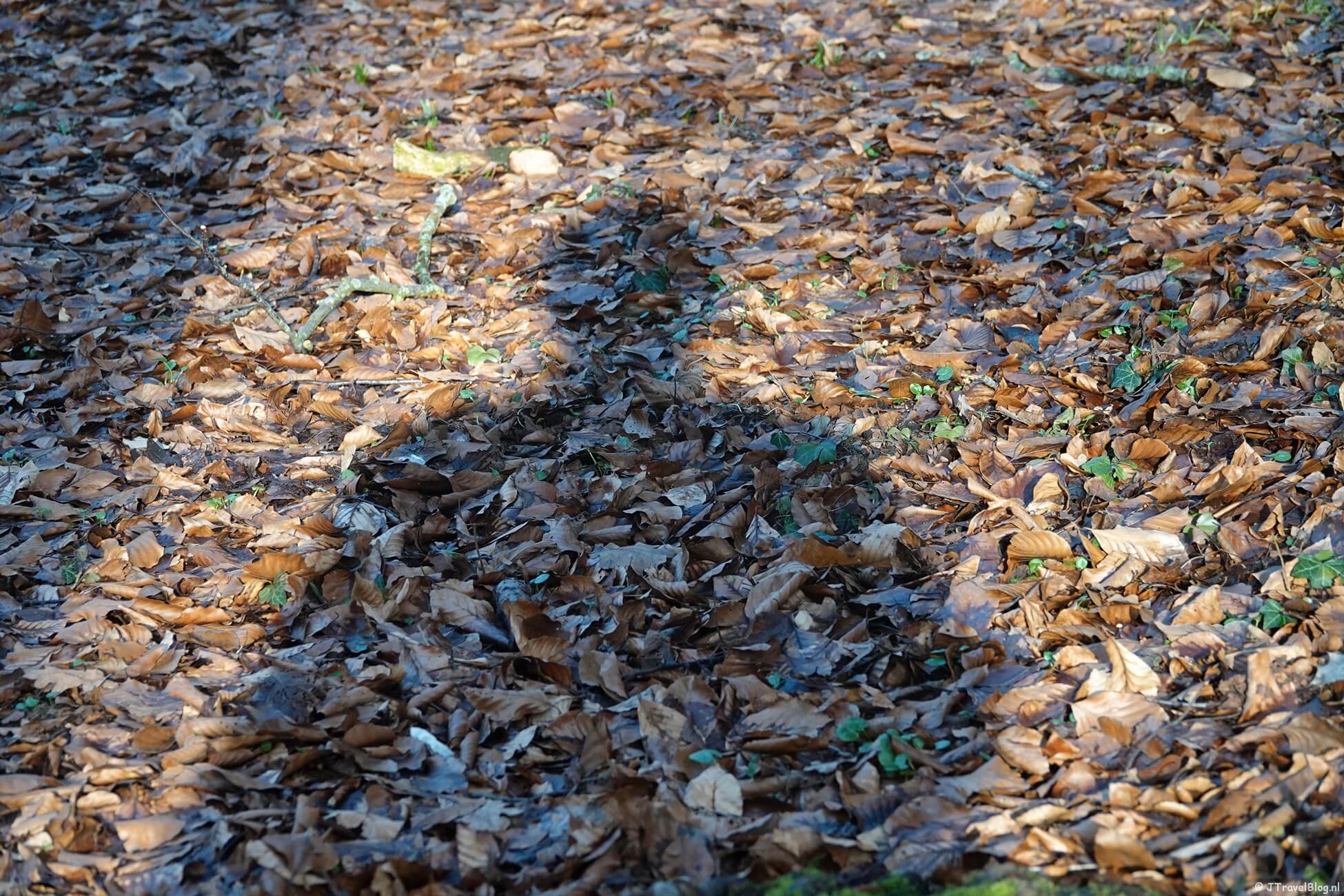 Maandoverzicht februari 2026