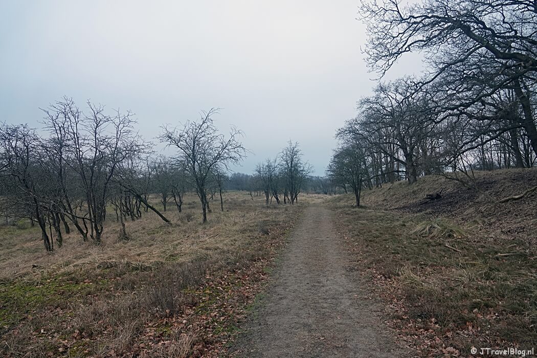 Een onverhard pad tijdens de Trage Tocht Amsterdamse Waterleidingduinen