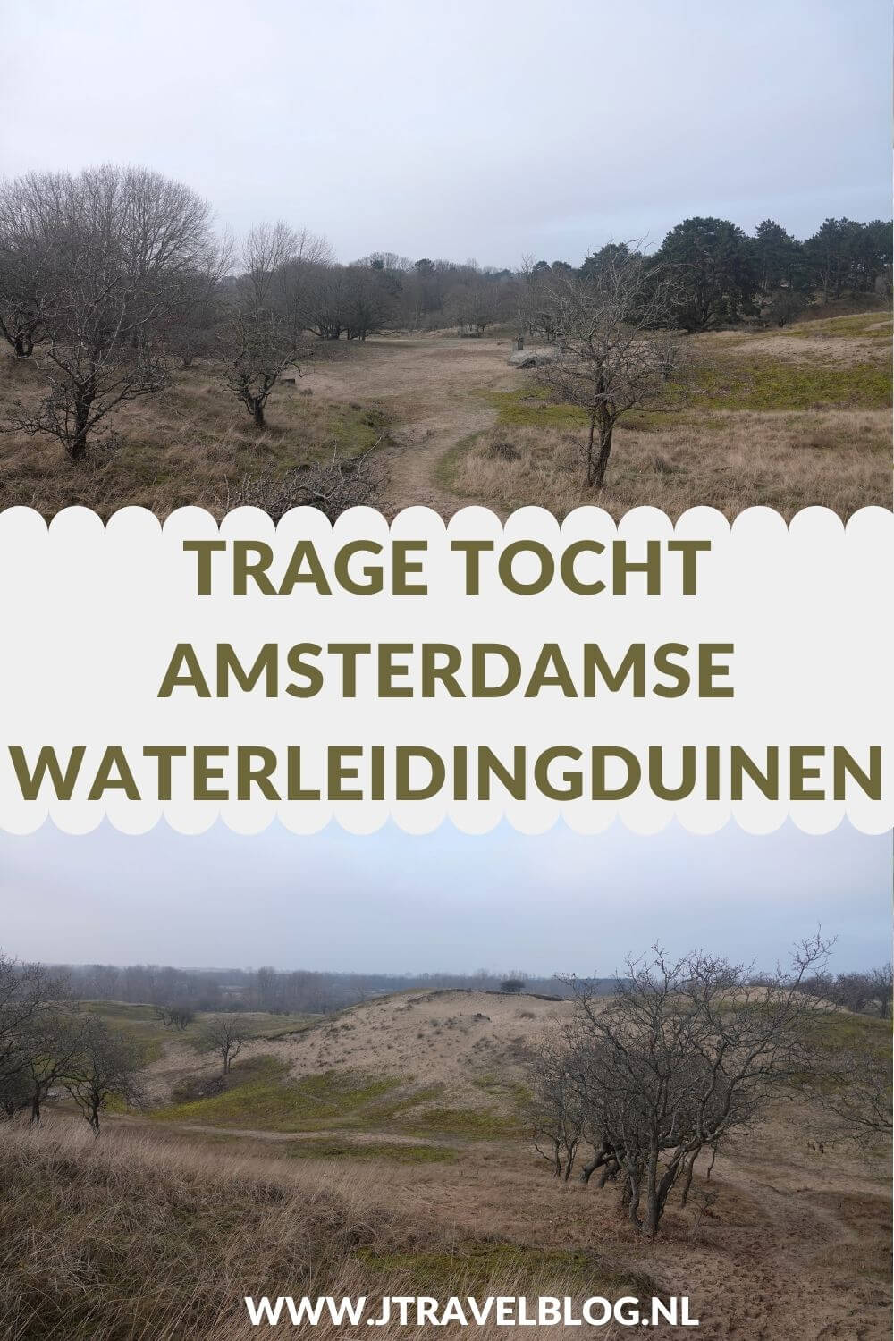 Ik liep deย Trage Tocht Amsterdamse Waterleidingduinen. Vanaf ingang Zandvoortselaan loop ik via Oranjekom/Oase en Panneland via het Eiland van Rolvers weer naar de Zandvoortselaan. Onderweg beklim ik de Rozenberg en de Appelenberg en zie ik bunkers en damherten. In deze blog neem ik je mee naar de Amsterdamse Waterleidingduinen.ย #amsterdamsewaterleidingduinen #wandelen #jtravelblog #jtravel