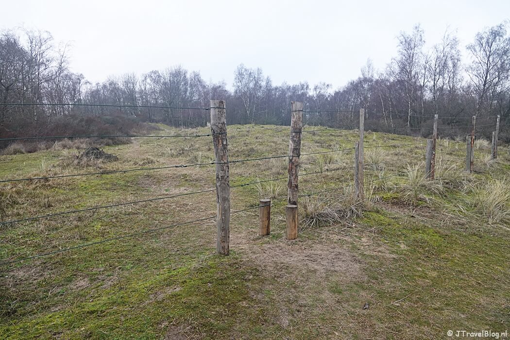 Toegang tot het Eiland van Rolvers tijdens de Trage Tocht Amsterdamse Waterleidingduinen