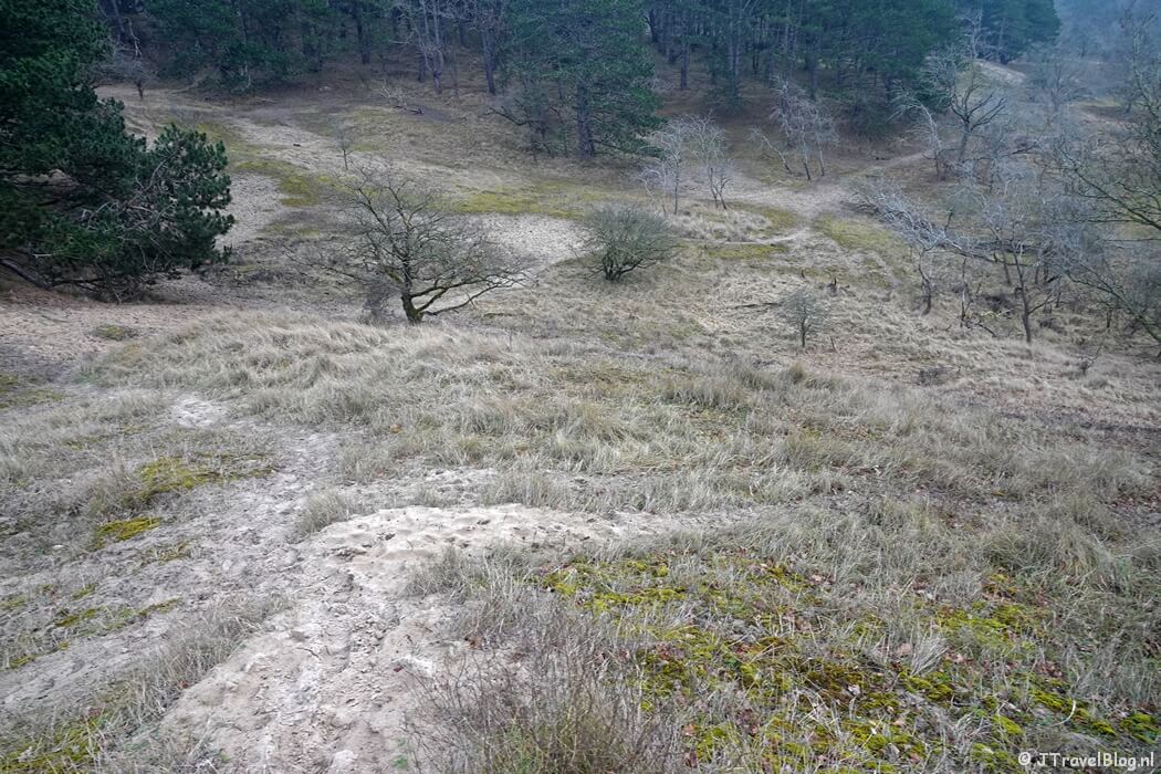 Vanaf de Appelenberg tijdens de Trage Tocht Amsterdamse Waterleidingduinen