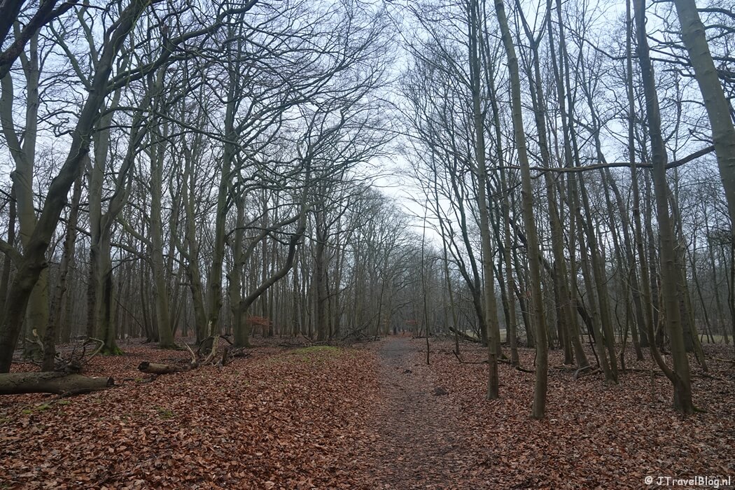 Een wandelpad tijdens de Trage Tocht Amsterdamse Waterleidingduinen