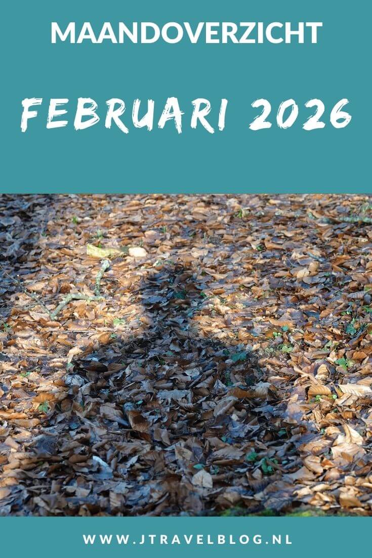 In februari 2026 liep ik de Hartekamproute in Heemstede en liep ik de eerste etappe van het Utrechtpad. Een groot deel van februari verbleef ik in Groningen. Meer hier over lees je in dit maandoverzicht. #maandoverzicht #februari2026 #hartekamproute #heemstede #utrechtpad #wandelen #jtravel #jtravelblog