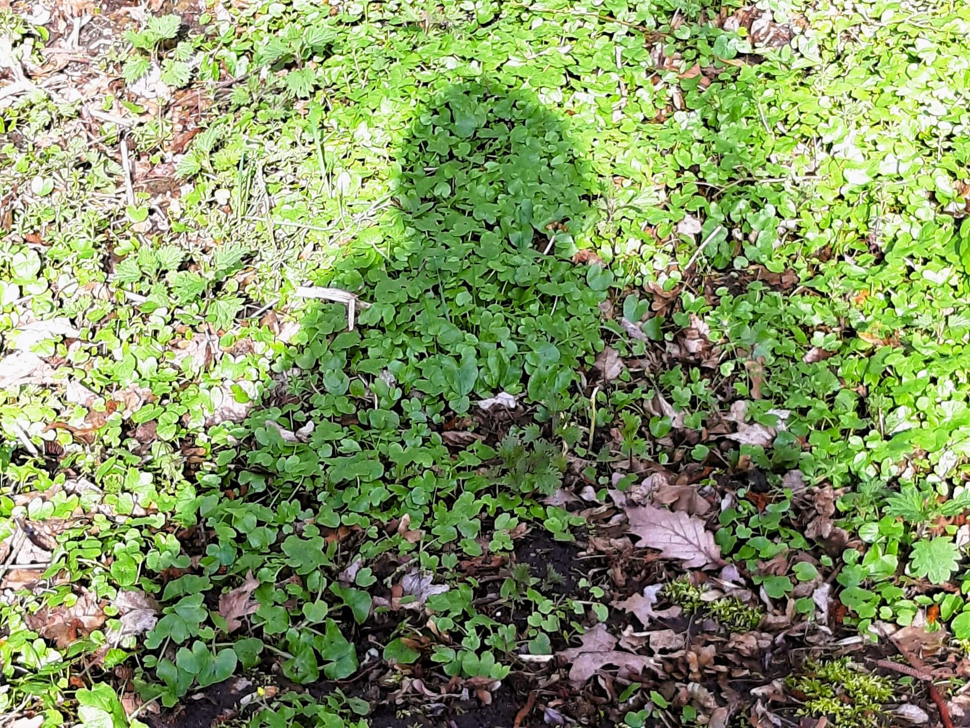 Maandoverzicht maart 2026