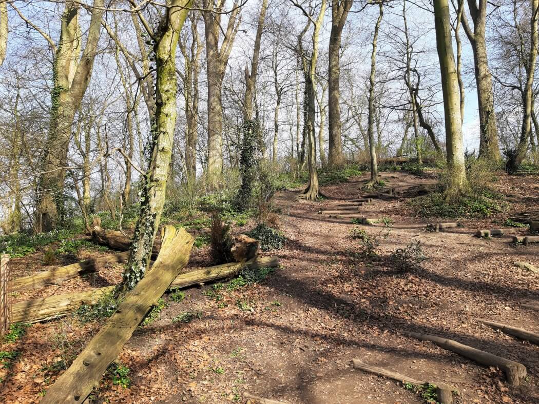 Noorderplantsoen in Groningen tijdens mijn Trage Tocht Groningen