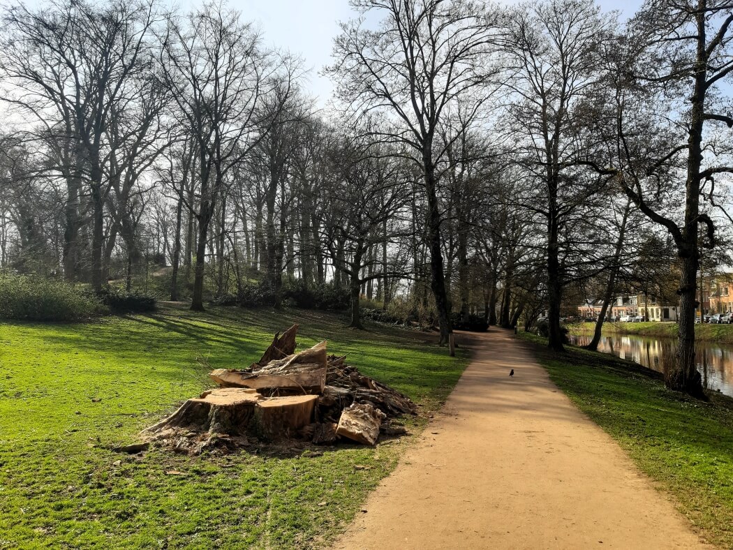 Noorderplantsoen in Groningen tijdens mijn Trage Tocht Groningen