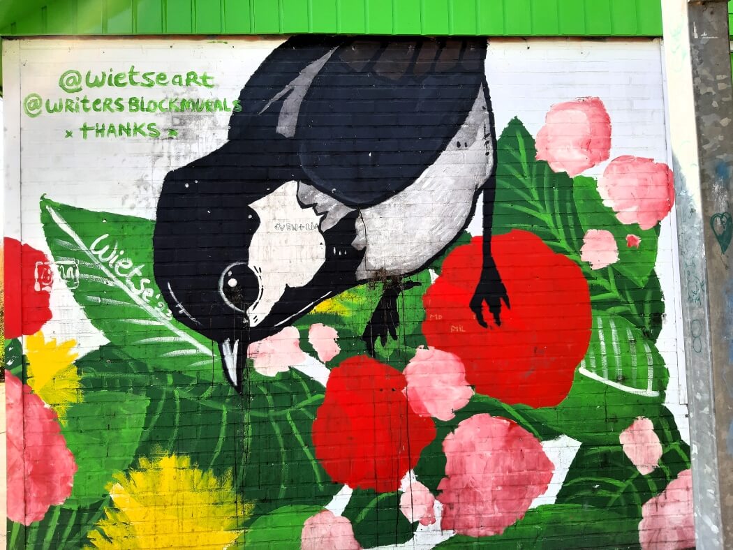 Street art in Groningen tijdens mijn Trage Tocht Groningen