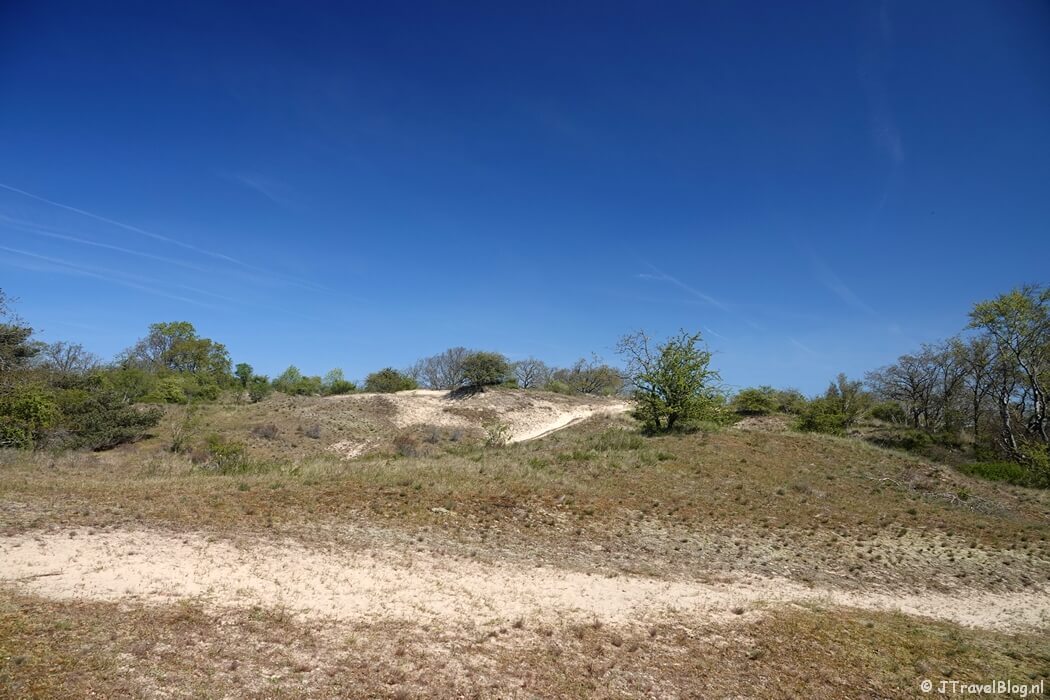 Meijendel tijdens mijn NS-wandeling Meijendel