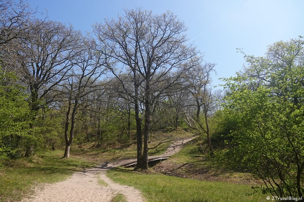 Meijendel tijdens mijn NS-wandeling Meijendel