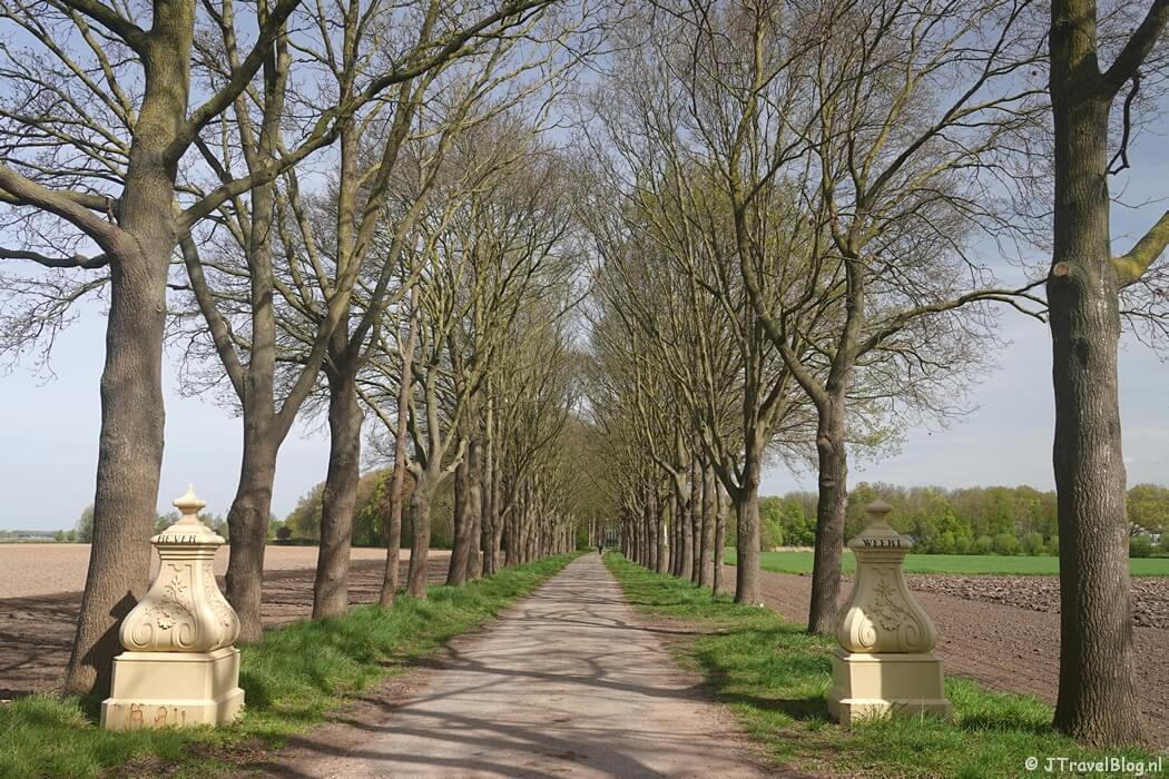 Landgoed Beverweerd tijdens etappe 2 van het Utrechtpad van Odijk naar Cothen