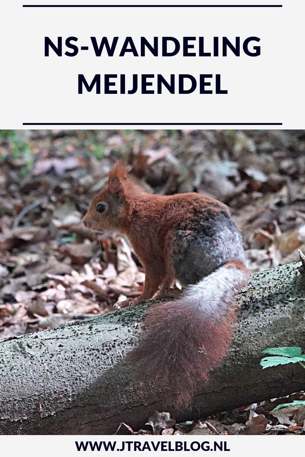 Ik maakte de NS-wandeling Meijendel van NS-station Den Haag Centraal naar Wassenaar door het Haagse Bos, over Landgoed Clingendaal en door Meijendel. De afstand van deze mooie wandeling is 13 kilometer. Mijn belevenissen lees je in deze blog. Loop je mee? #nswandeling #meijendel #wandelen #hiken #jtravelblog #jtravel