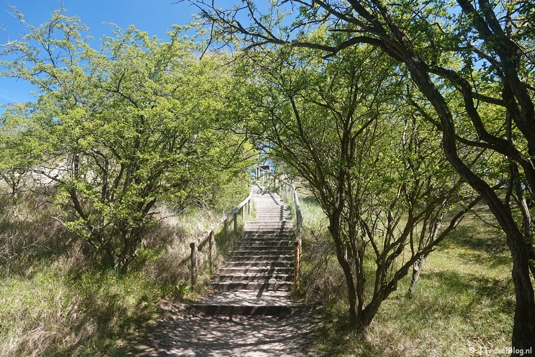 Meijendel tijdens mijn NS-wandeling Meijendel
