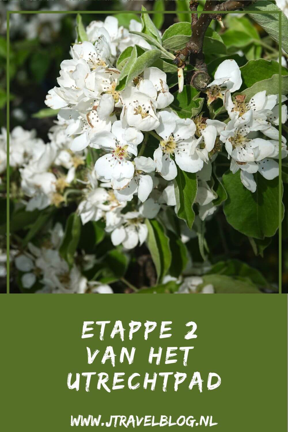 Een verslag van etappe 2 van het Utrechtpad, Deze tweede etappe loopt van Odijk via Kasteel Beverweerd naar Cothen over een afstand van 14 kilometer. Mijn belevenissen en mijn route lees je in deze blog. Loop je mee? #utrechtpad #etappe2 #odijk #cothen #jaagpad #wandelen #hiken #jtravelblog #jtravel