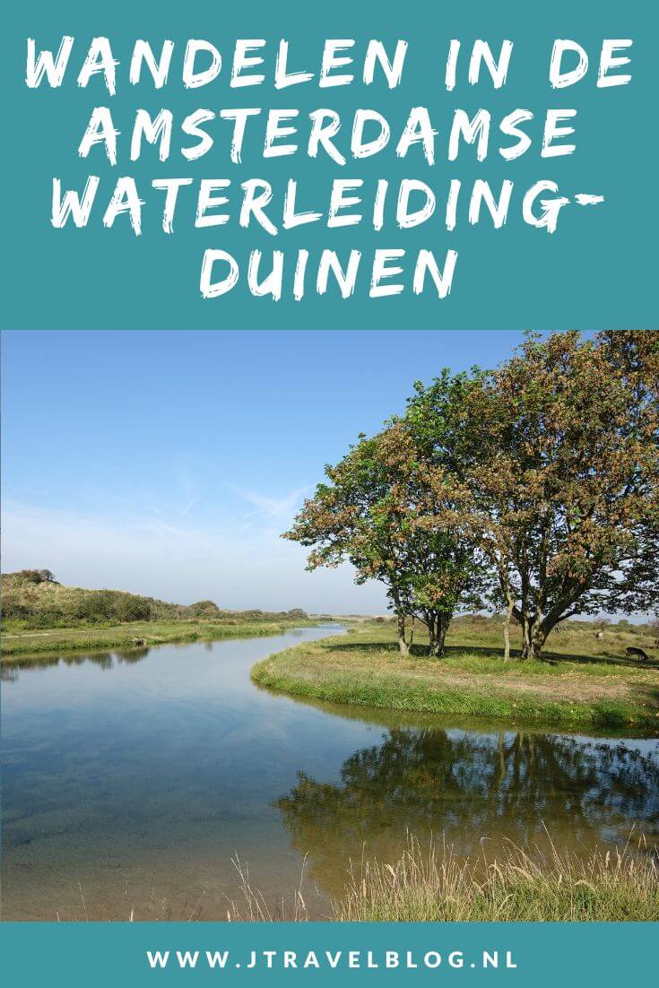 In deze blog heb ik de wandelroutes in de Amsterdamse Waterleidingduinen voor je op een rijtje gezet. Er zijn tal van mogelijkheden vanaf alle vier de ingangen van de Amsterdamse Waterleidingduinen. Wandel en lees je mee? #awd #amsterdamsewaterleidingduinen #wandelen #jtravelblog #jtravel