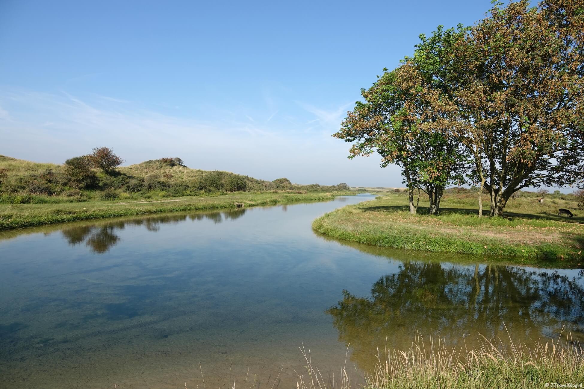 Wandelen in de Amsterdamse Waterleidingduinen