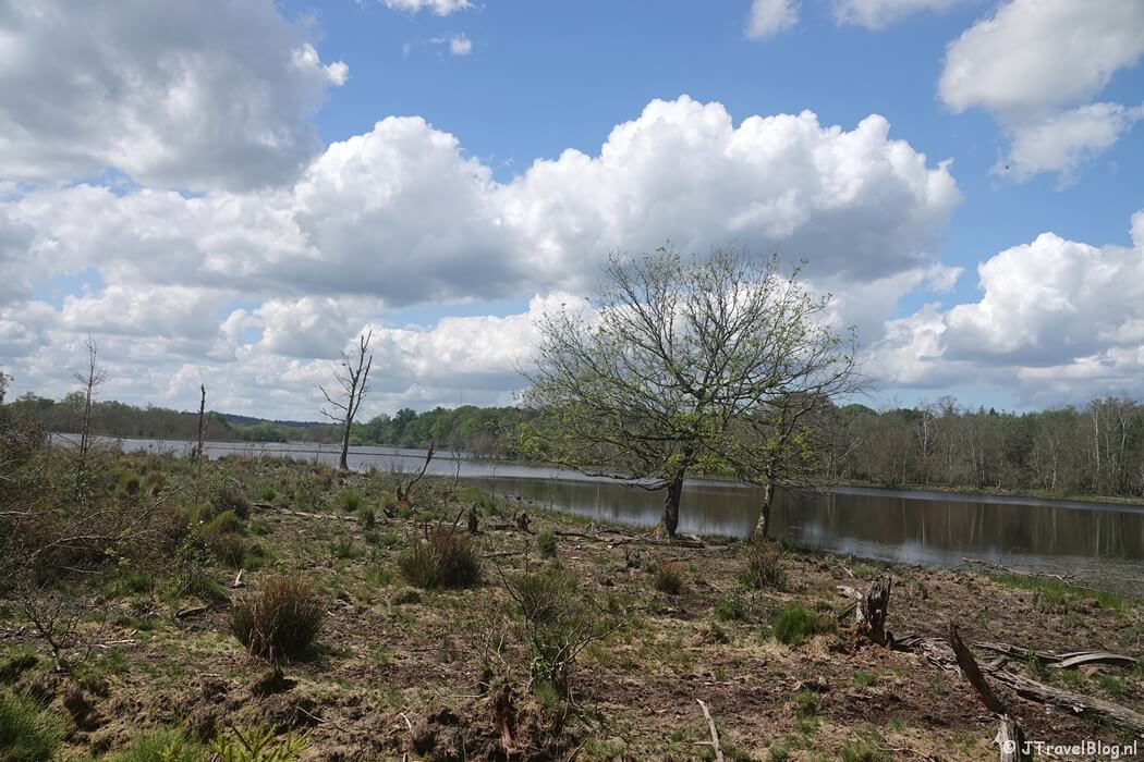 Leersumse Plassen tijdens etappe 4 van het Utrechtpad van Leersum naar Amerongen