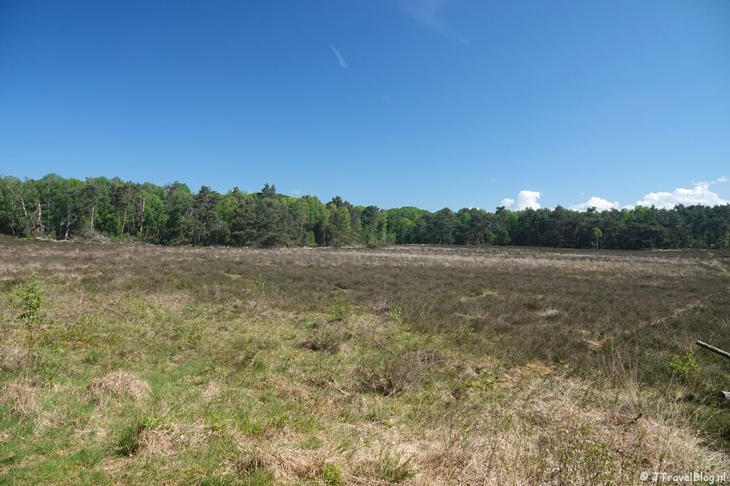 Breeveen tijdens etappe 4 van het Utrechtpad van Leersum naar Amerongen