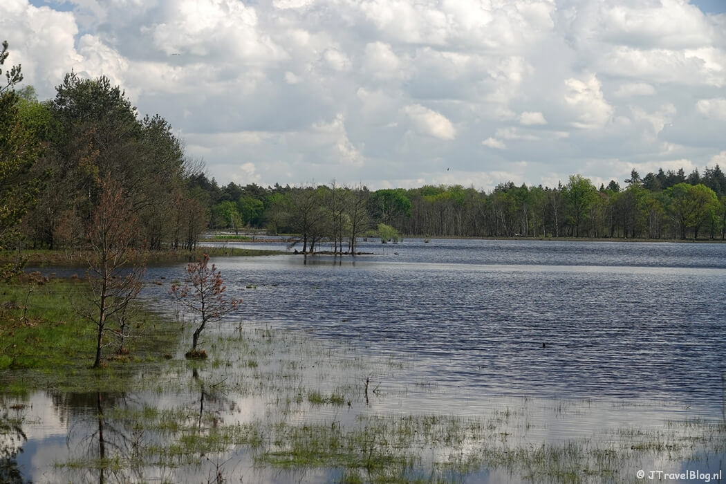 De Leersumse Plassen tijdens etappe 4 van het Utrechtpad van Leersum naar Amerongen