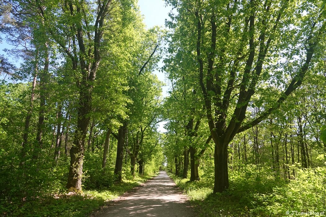 Een wandelpad tijdens etappe 4 van het Utrechtpad van Leersum naar Amerongen