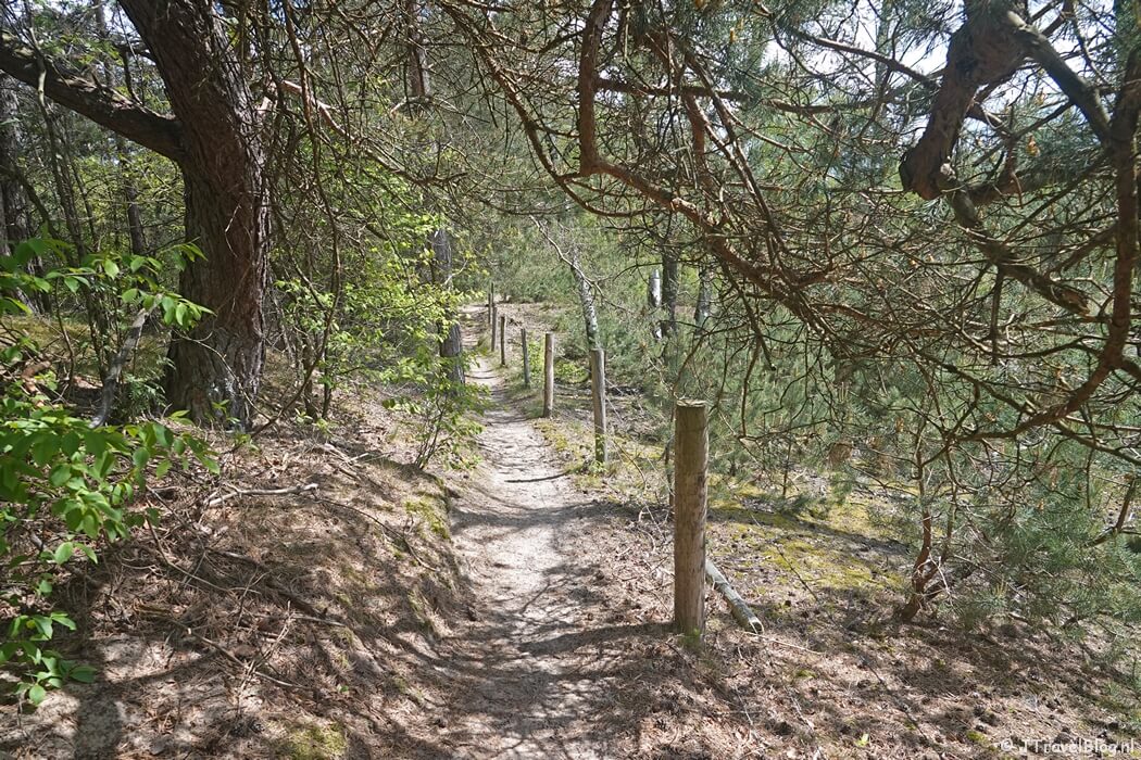 Een wandelpad tijdens etappe 4 van het Utrechtpad van Leersum naar Amerongen