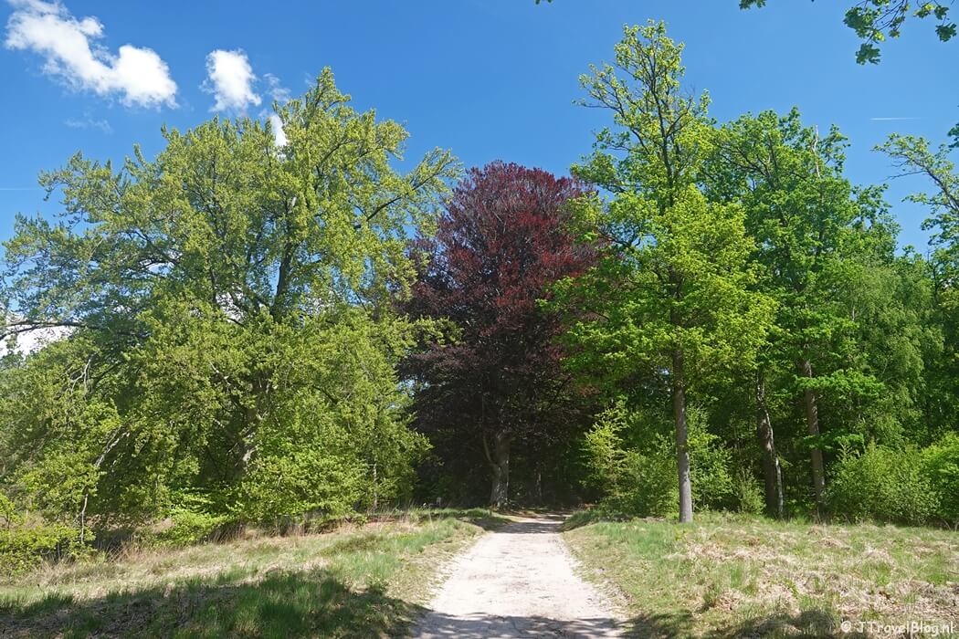 Een wandelpad tijdens etappe 4 van het Utrechtpad van Leersum naar Amerongen