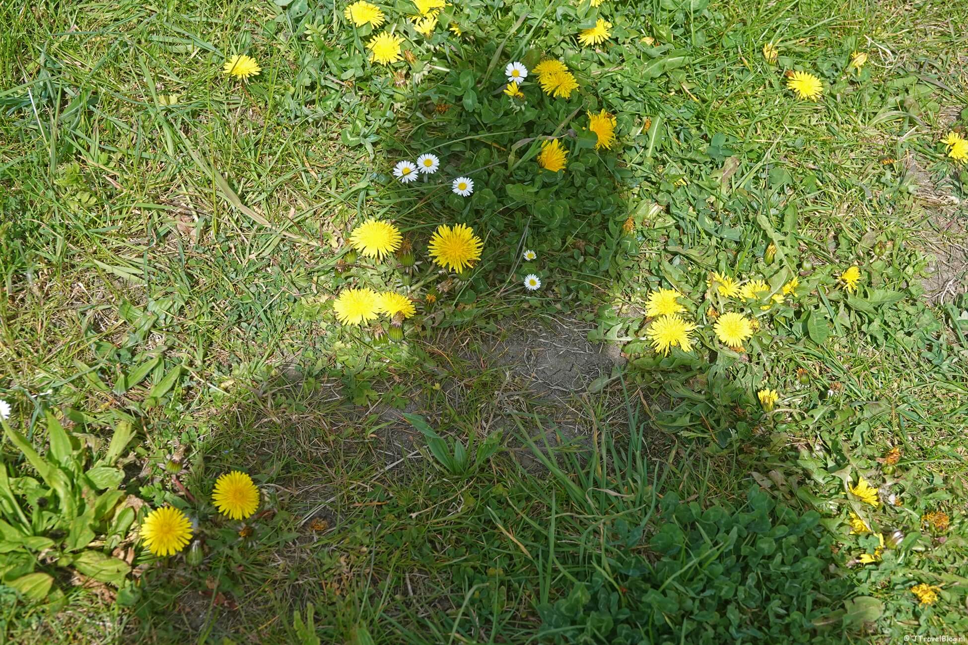 Maandoverzicht april 2026