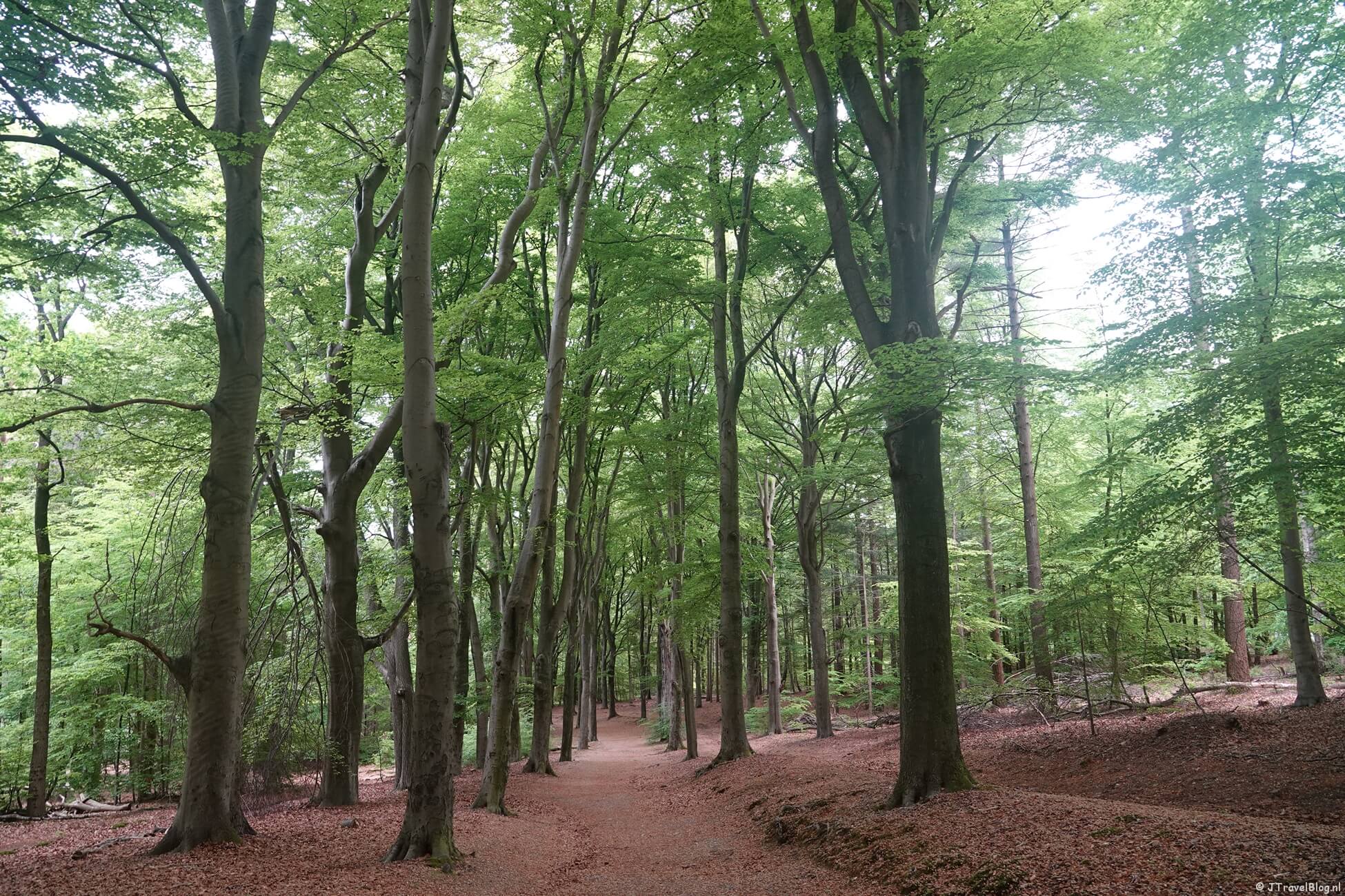 Utrechtpad etappe 4 : Leersum – Amerongen