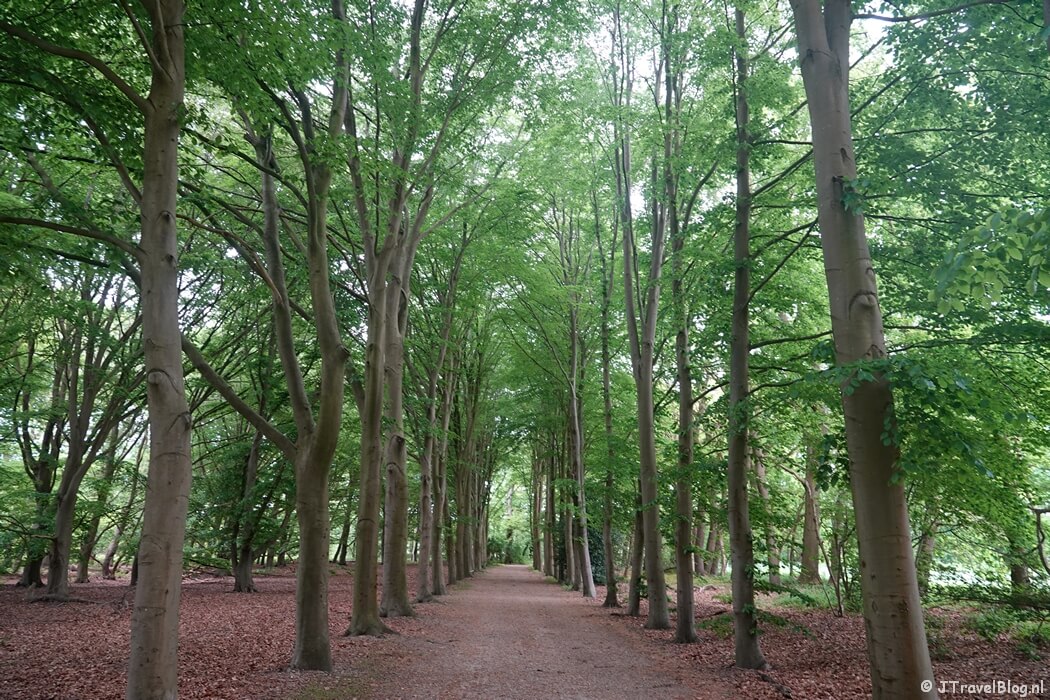 Veenseweg in Amerongen tijdens etappe 4 van het Utrechtpad van Leersum naar Amerongen