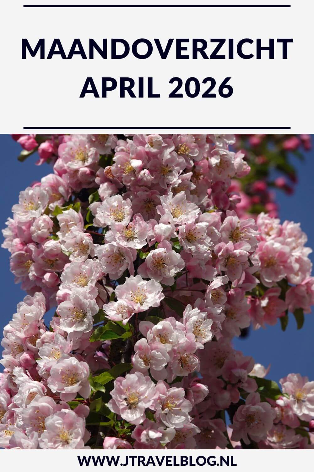 Ik verbleef de eerste 10 dagen van april 2026 in Groningen. Ik liep twee etappes van het Utrechtpad tussen Odijk via Cothen en Wijk bij Duurstede naar Leersum en ik liep de NS-wandeling Meijendel in Den Haag/Wassenaar. Meer hier over lees je in dit maandoverzicht. #maandoverzicht #april2026 #utrechtpad #meijendel #wandelen #jtravelblog #jtravel