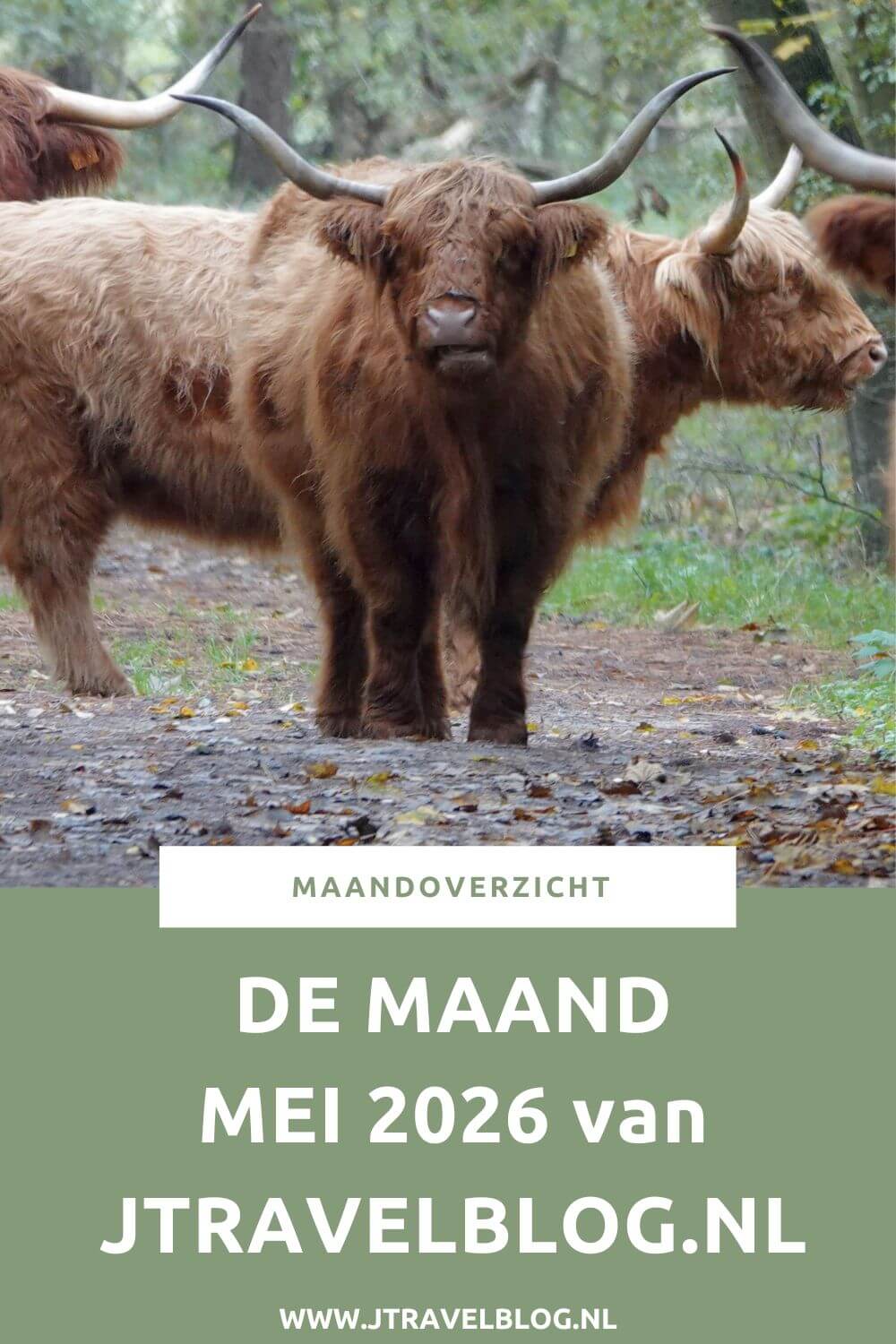 Ik liep een etappe van het Utrechtpad tussen Leersum en Amerongen. Een paar dagen later liep ik de podwalk Duinen vertellen Oorlogsverhalen en De Princenboschroute in Nationaal Park Zuid-Kennemerland. Ook verbleef ik een week in Groningen. Meer hier over lees je in dit maandoverzicht. #maandoverzicht #mei2026 #utrechtpad #podwalk #nationaalparkzuidkennemerland #wandelen #jtravelblog #jtravel