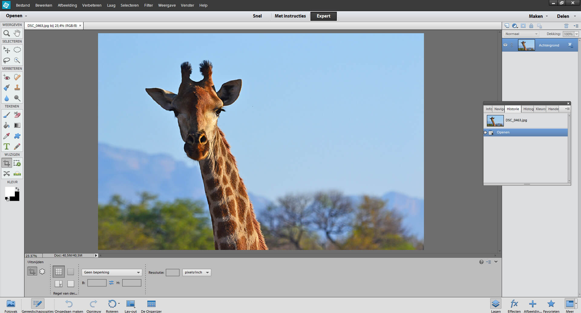 Adobe Photoshop Elements
