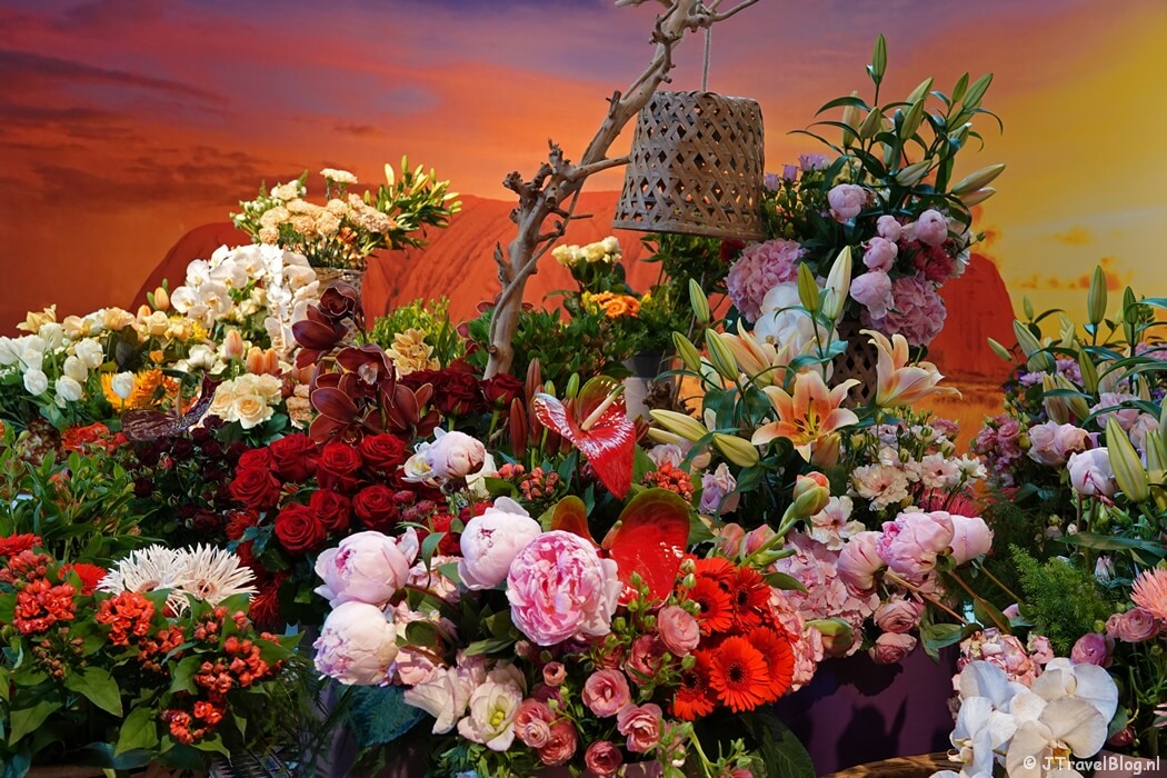 Alstroemeriashow in de Keukenhof 2022