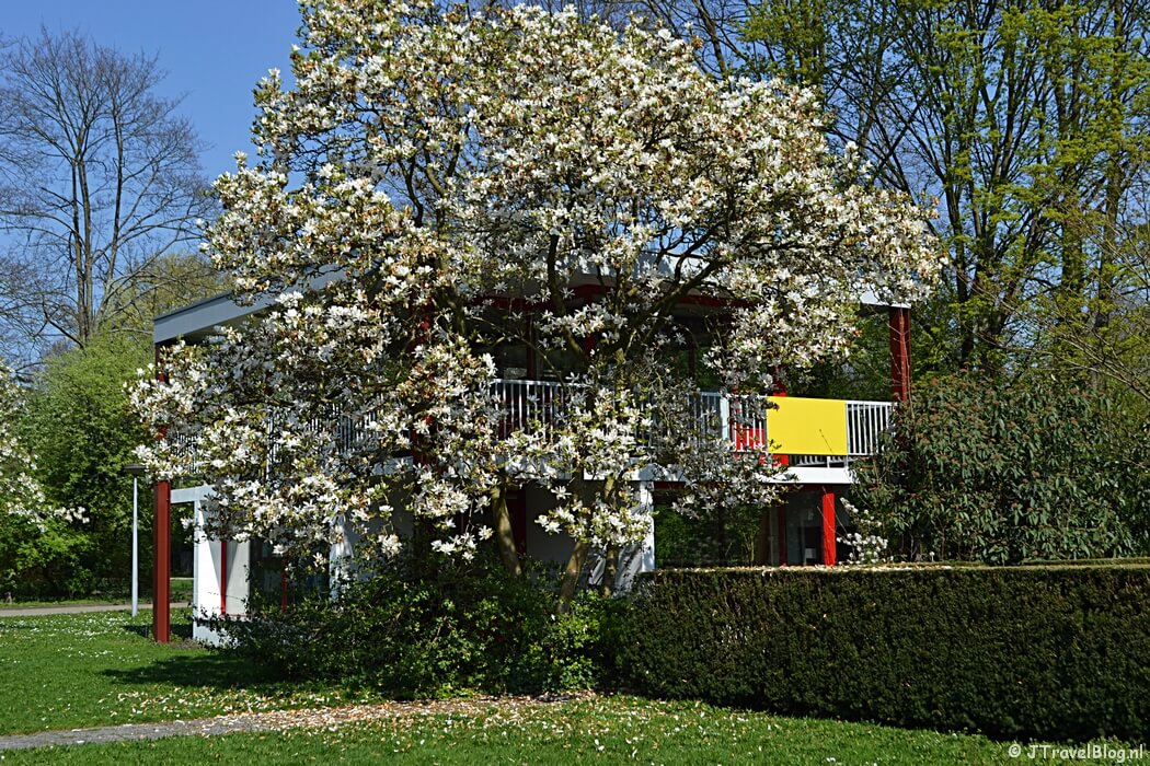 Het Amstelpark tijdens mijn wandeling langs het groene deel van de Amsterdamse Zuidas