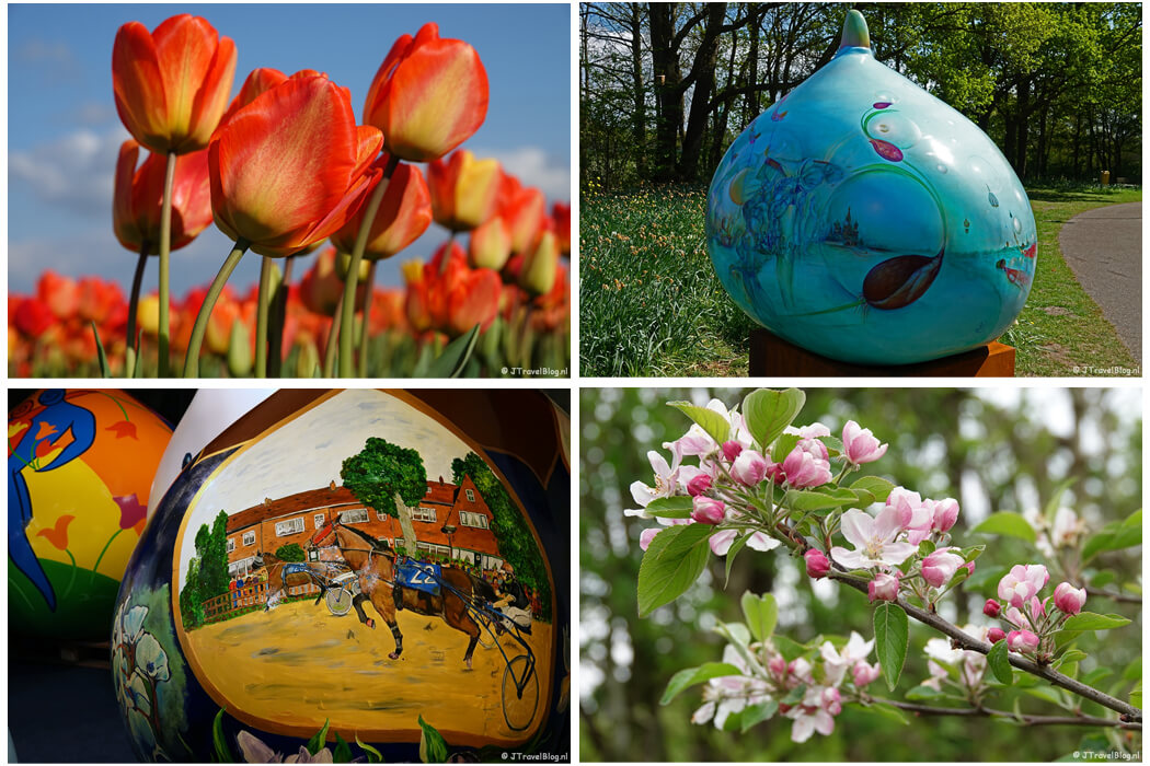 April 2022: 2 bezoeken aan de Bollenstreek, Reuzenbollen en de Olmenhorstroute in Lisserbroek