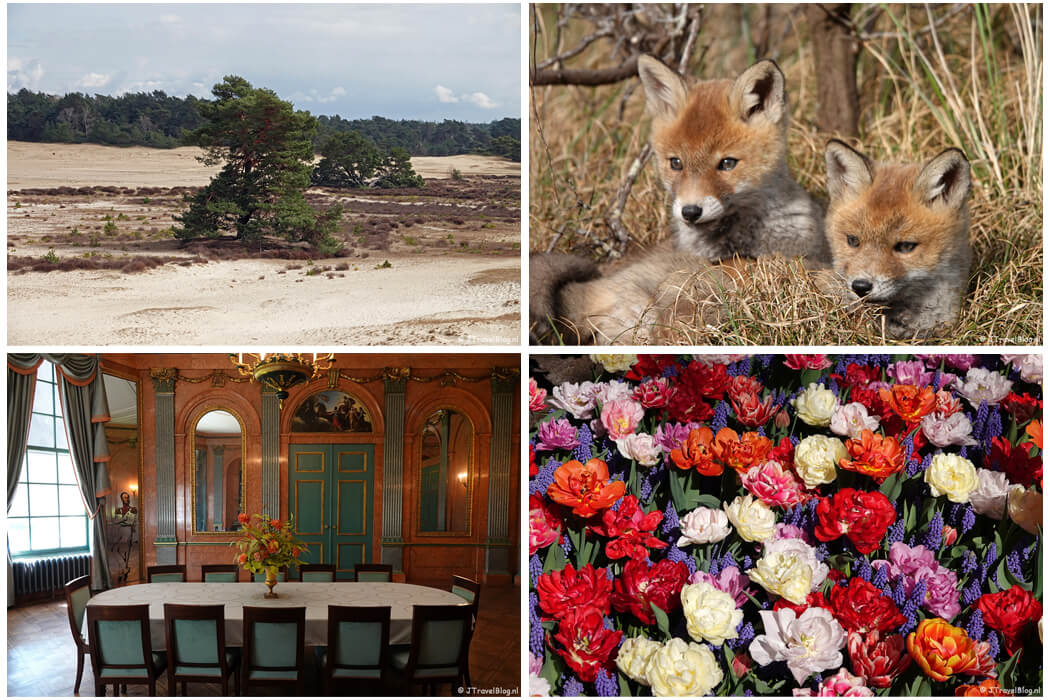 April 2022: de 13e etappe van het Westerborkpad, een wandeling in de Amsterdamse Waterleidingduinen, Huis Barnaart in Haarlem en de Keukenhof in Lisse