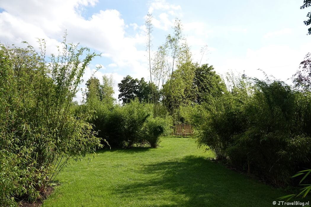 Bamboo Giant op de Floriade Expo 2022 in Almere