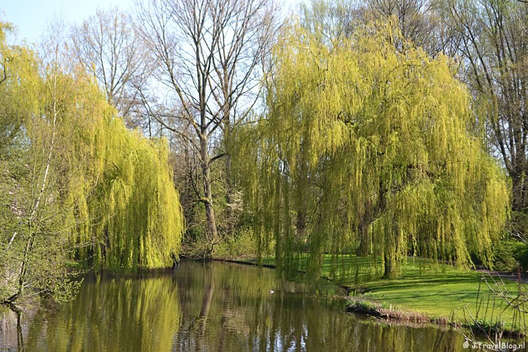 Het Beatrixpark tijdens mijn wandeling langs het groene deel van de Amsterdamse Zuidas