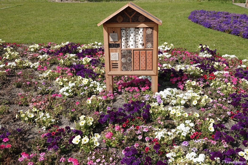 Eco District op de Floriade Expo 2022 in Almere