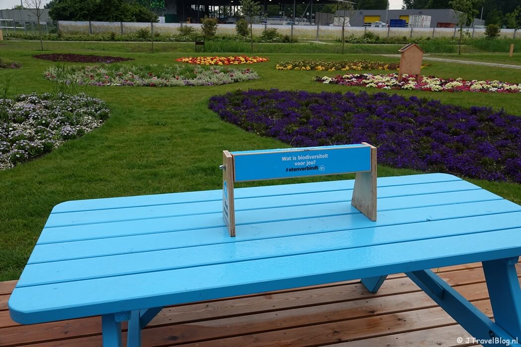 Albert Heijn Bloementuintjes op de Floriade Expo 2022 in Almere